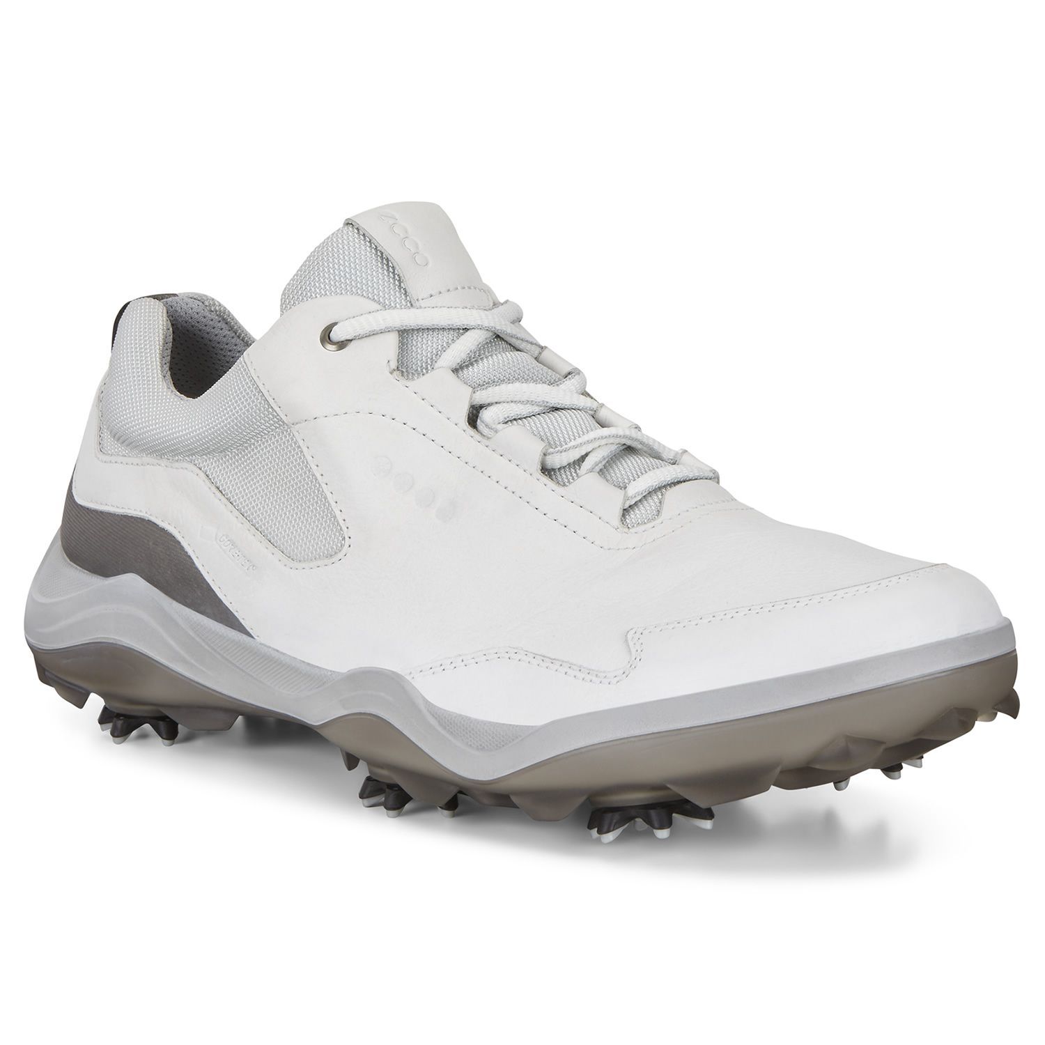 ecco strike 2.0