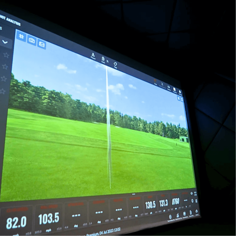Golfbays Pro+ Impact Screen