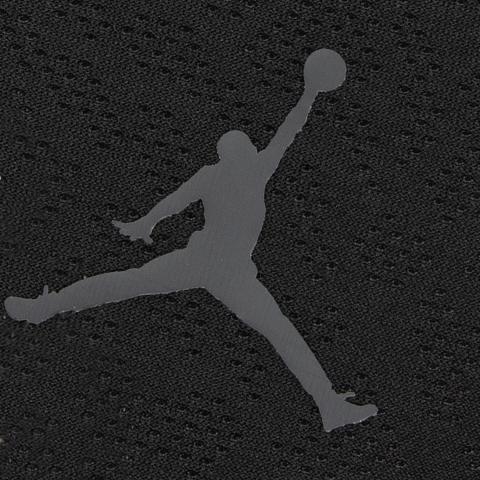 Nike Jordan Dri FIT ADV Sport Polo Shirt