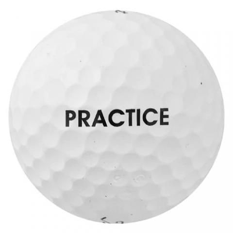 titleist pro v1x practice golf balls